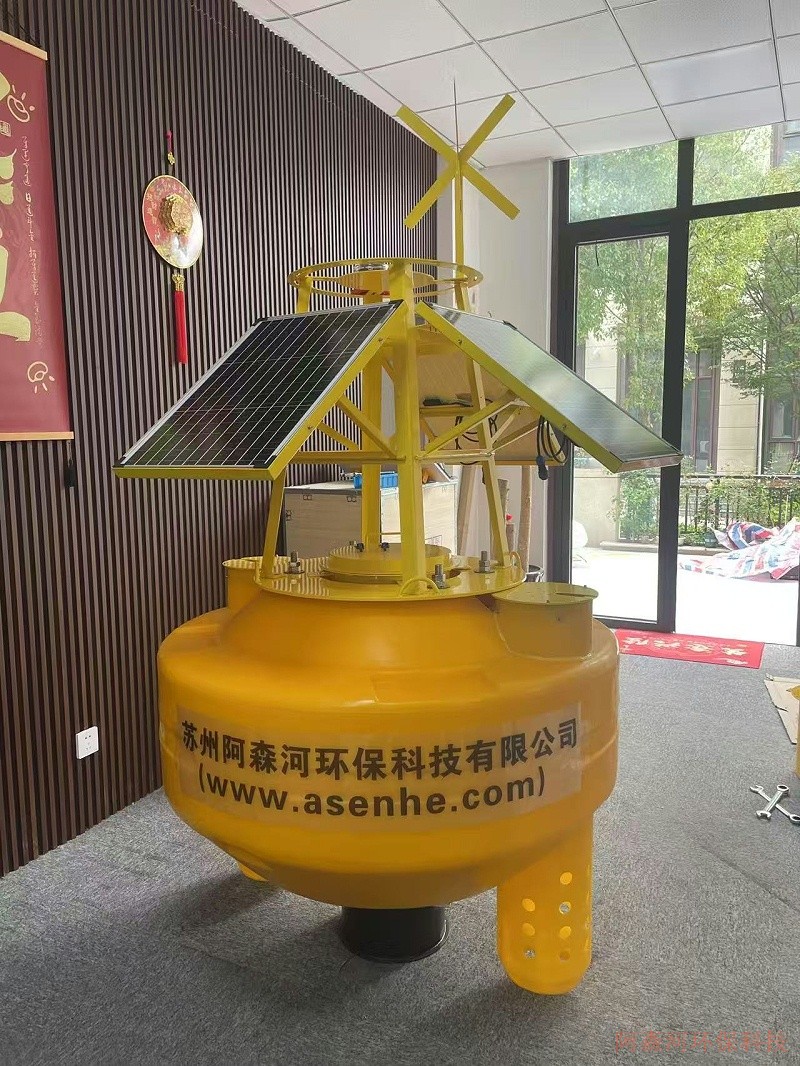 阿森河海洋浮标 阿森河海洋浮标