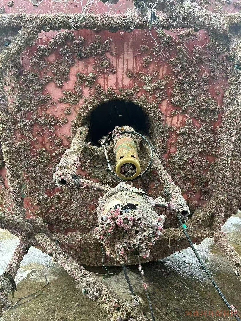 海洋环境监测浮标被藤壶缠绕的图片 海洋环境监测浮标被藤壶缠绕的图片
